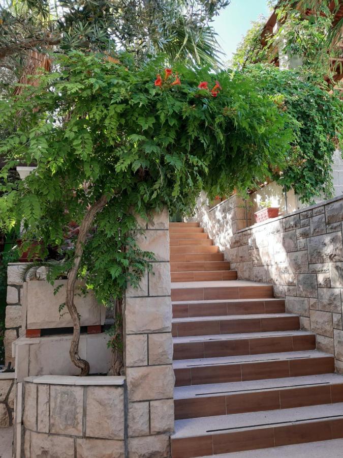 Tania * Hvar Town